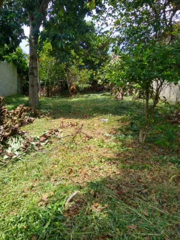 imagem 2 - Terreno pronto para construir a casa dos sonhos imagem 2 - Terreno pronto para construir a casa dos sonhos