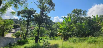 imagem 2 - TERRENO COM CASA: VENDE JUNTOS OU SEPARADOS CASA 442M2 + TERRENO COM 535M2 imagem 2 - TERRENO COM CASA: VENDE JUNTOS OU SEPARADOS CASA 442M2 + TERRENO COM 535M2