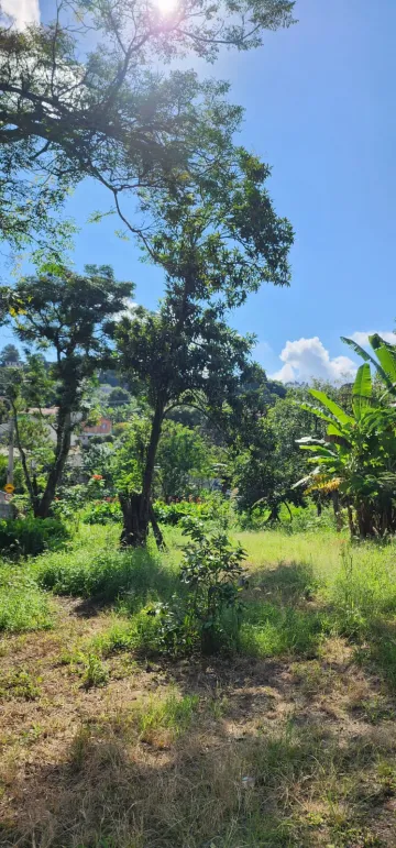 imagem 3 - TERRENO COM CASA: VENDE JUNTOS OU SEPARADOS CASA 442M2 + TERRENO COM 535M2 imagem 3 - TERRENO COM CASA: VENDE JUNTOS OU SEPARADOS CASA 442M2 + TERRENO COM 535M2