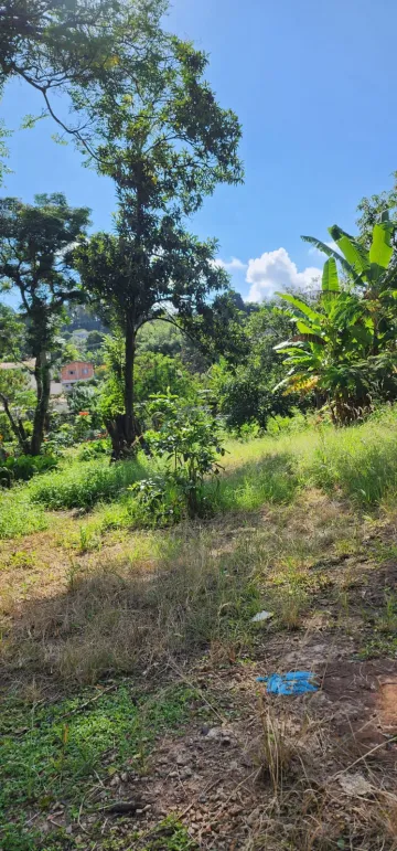 imagem 4 - TERRENO COM CASA: VENDE JUNTOS OU SEPARADOS CASA 442M2 + TERRENO COM 535M2 imagem 4 - TERRENO COM CASA: VENDE JUNTOS OU SEPARADOS CASA 442M2 + TERRENO COM 535M2