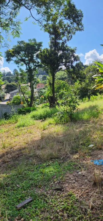 imagem 5 - TERRENO COM CASA: VENDE JUNTOS OU SEPARADOS CASA 442M2 + TERRENO COM 535M2 imagem 5 - TERRENO COM CASA: VENDE JUNTOS OU SEPARADOS CASA 442M2 + TERRENO COM 535M2