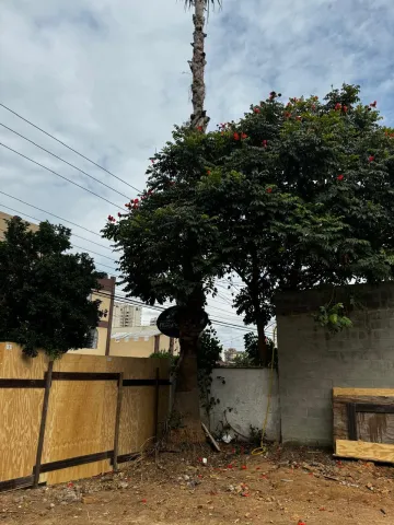 imagem 3 - TERRENO no bairro Jardim Maringá ? excelente localização -   298,50  m² imagem 3 - TERRENO no bairro Jardim Maringá ? excelente localização -   298,50  m²