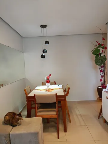 imagem 5 - APARTAMENTO TODO PLANEJADO ÁREA CENTRAL DA CIDADE!!!! imagem 5 - APARTAMENTO TODO PLANEJADO ÁREA CENTRAL DA CIDADE!!!!