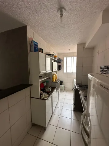 imagem 4 - APARTAMENTO PADRÃO 2 QUARTOS MIRANTE DO LIMOEIRO II imagem 4 - APARTAMENTO PADRÃO 2 QUARTOS MIRANTE DO LIMOEIRO II