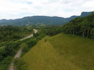 imagem 3 - ÁREA A VENDA EM CARAGUATATUBA, ESTRADA ABRA DE DENTRO imagem 3 - ÁREA A VENDA EM CARAGUATATUBA, ESTRADA ABRA DE DENTRO