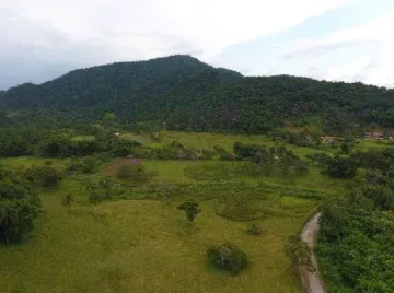 imagem 4 - ÁREA A VENDA EM CARAGUATATUBA, ESTRADA ABRA DE DENTRO imagem 4 - ÁREA A VENDA EM CARAGUATATUBA, ESTRADA ABRA DE DENTRO