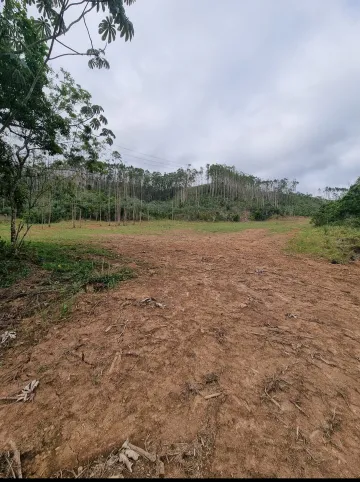 imagem 1 - PROPRIEDADE RURAL IDEAL PARA CRIAÇÃO DE GADO, PLANTIO E OUTROS NEGÓCIOS imagem 1 - PROPRIEDADE RURAL IDEAL PARA CRIAÇÃO DE GADO, PLANTIO E OUTROS NEGÓCIOS