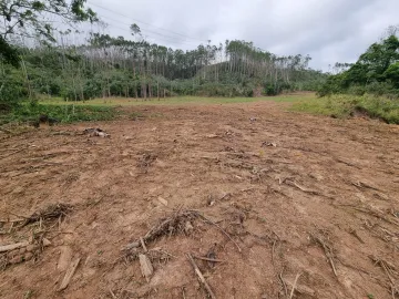 imagem 3 - PROPRIEDADE RURAL IDEAL PARA CRIAÇÃO DE GADO, PLANTIO E OUTROS NEGÓCIOS imagem 3 - PROPRIEDADE RURAL IDEAL PARA CRIAÇÃO DE GADO, PLANTIO E OUTROS NEGÓCIOS