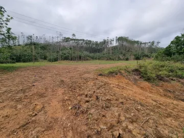 imagem 5 - PROPRIEDADE RURAL IDEAL PARA CRIAÇÃO DE GADO, PLANTIO E OUTROS NEGÓCIOS imagem 5 - PROPRIEDADE RURAL IDEAL PARA CRIAÇÃO DE GADO, PLANTIO E OUTROS NEGÓCIOS