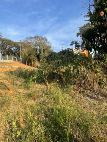 imagem 4 - TERRENO NA ZONA LESTE DE SÃO JOSÉ, OPORTUNIDADE! imagem 4 - TERRENO NA ZONA LESTE DE SÃO JOSÉ, OPORTUNIDADE!