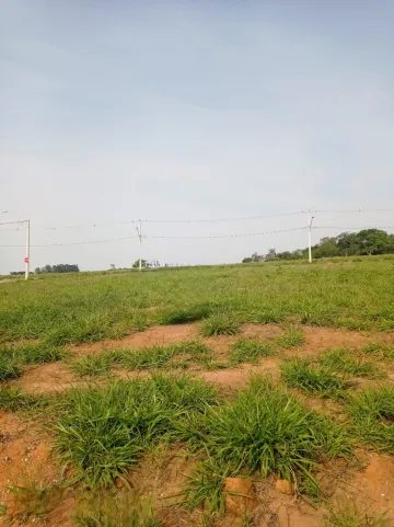 imagem 1 - Oportunidade Única! Terreno 300m² no Alto da Mata - Taubaté imagem 1 - Oportunidade Única! Terreno 300m² no Alto da Mata - Taubaté