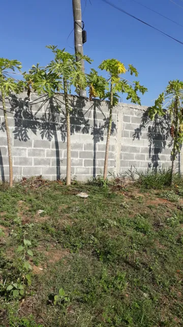 imagem 2 - TERRENO - OTÍMA TOPOGRAFIA - TESTADA 20 mts - 1088,07 mts² - PORTAL DO CÉU - ZONA LESTE imagem 2 - TERRENO - OTÍMA TOPOGRAFIA - TESTADA 20 mts - 1088,07 mts² - PORTAL DO CÉU - ZONA LESTE
