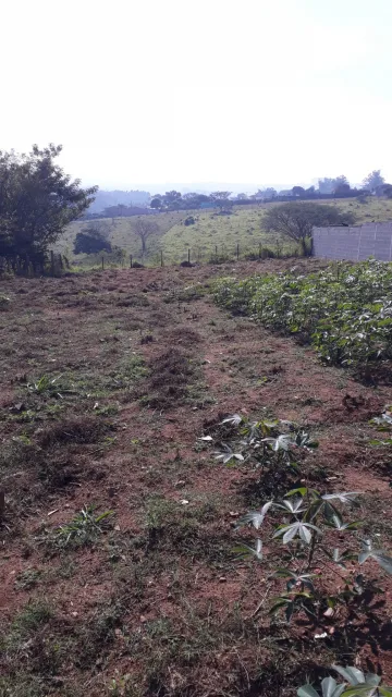 imagem 4 - TERRENO - OTÍMA TOPOGRAFIA - TESTADA 20 mts - 1088,07 mts² - PORTAL DO CÉU - ZONA LESTE imagem 4 - TERRENO - OTÍMA TOPOGRAFIA - TESTADA 20 mts - 1088,07 mts² - PORTAL DO CÉU - ZONA LESTE