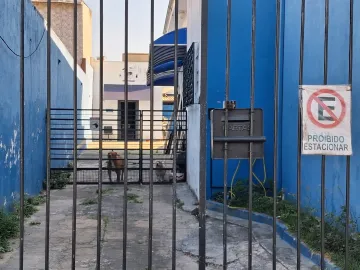 imagem 3 - Prédio comercial no centro da cidade, salão com portas de aço com edicula nos fundos, 08 vagas de garagem imagem 3 - Prédio comercial no centro da cidade, salão com portas de aço com edicula nos fundos, 08 vagas de garagem