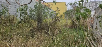 imagem 5 - Excelente Terreno plano em ótima localização no Bairro do Setville imagem 5 - Excelente Terreno plano em ótima localização no Bairro do Setville