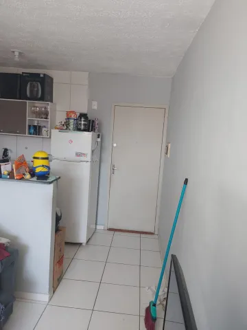 imagem 1 - Apartamento a venda Condomínios Mirante do limoeiro II imagem 1 - Apartamento a venda Condomínios Mirante do limoeiro II