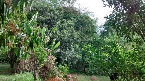 imagem 1 - Moderno salão de festas ,todo murado dois portôes  eletrônicos ,camêra de segurança ,poço artesiano, piscina com  área de lazer coberta e banheiro .Arvores frutiferas`,galinheiro e canil, energia solar bonito sobrado com 3 dormitórios, elevador para imagem 1 - Moderno salão de festas ,todo murado dois portôes  eletrônicos ,camêra de segurança ,poço artesiano, piscina com  área de lazer coberta e banheiro .Arvores frutiferas`,galinheiro e canil, energia solar bonito sobrado com 3 dormitórios, elevador para