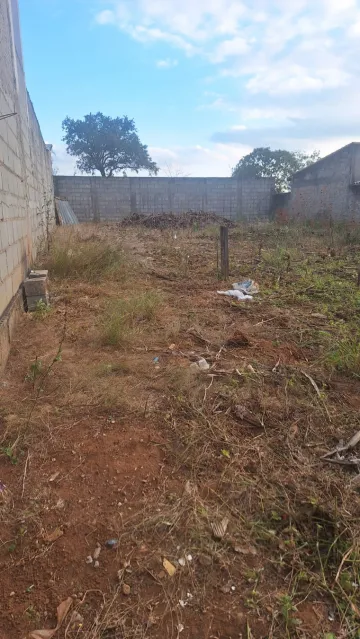 imagem 4 - TERRENO PLANO EM RUA SEM TRANQUILA - SEM SAIDA imagem 4 - TERRENO PLANO EM RUA SEM TRANQUILA - SEM SAIDA