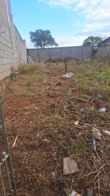 imagem 5 - TERRENO PLANO EM BAIRRO TRANQUILO RUA SEM SAIDA imagem 5 - TERRENO PLANO EM BAIRRO TRANQUILO RUA SEM SAIDA