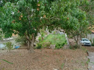 imagem 3 - NO  SANTA CECÍLIA I ,A NATUREZA FAZENDO PARTE DA SUA VIDA! imagem 3 - NO  SANTA CECÍLIA I ,A NATUREZA FAZENDO PARTE DA SUA VIDA!