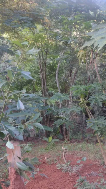 imagem 5 - Chácara no condomínio fechado Villagio Fazendão (zona norte de SJC) - 3 quartos / 2 suítes / rancho imagem 5 - Chácara no condomínio fechado Villagio Fazendão (zona norte de SJC) - 3 quartos / 2 suítes / rancho
