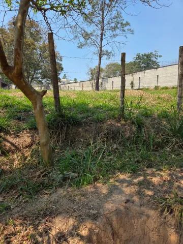 imagem 3 - Terreno - Área imagem 3 - Terreno - Área