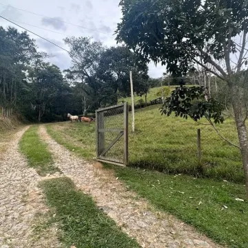 imagem 2 - Chacara em Paraibuna com escritura registrada, a 1.4 km da rodovia dos tamoios, imagem 2 - Chacara em Paraibuna com escritura registrada, a 1.4 km da rodovia dos tamoios,