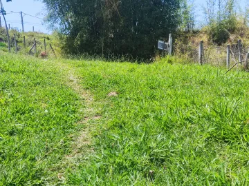 imagem 4 - Excelente Terreno no Bairro São Francisco ? São José dos Campos imagem 4 - Excelente Terreno no Bairro São Francisco ? São José dos Campos