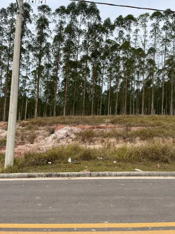 imagem 1 - TERRENO VILA AMÉLIA, EM EXCELENTE LOCALIZAÇÃO imagem 1 - TERRENO VILA AMÉLIA, EM EXCELENTE LOCALIZAÇÃO