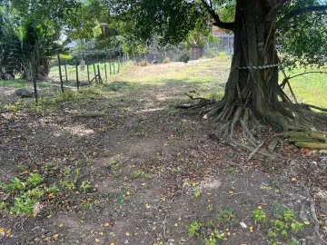 imagem 2 - OPORTUNIDADE - TERRENO - ILHABELA - LITORAL NORTE imagem 2 - OPORTUNIDADE - TERRENO - ILHABELA - LITORAL NORTE