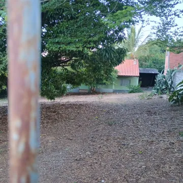 imagem 1 - Ótima chácara, com pomar, lugar de fácil acesso imagem 1 - Ótima chácara, com pomar, lugar de fácil acesso
