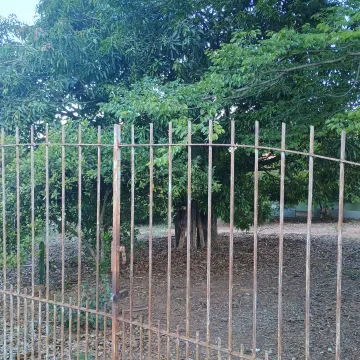 imagem 3 - Ótima chácara, com pomar, lugar de fácil acesso imagem 3 - Ótima chácara, com pomar, lugar de fácil acesso
