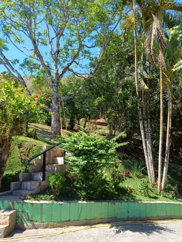 imagem 5 - Ótimo sítio com casa com 4 dm, 2 salas, fogão a lenha e churrasqueita imagem 5 - Ótimo sítio com casa com 4 dm, 2 salas, fogão a lenha e churrasqueita