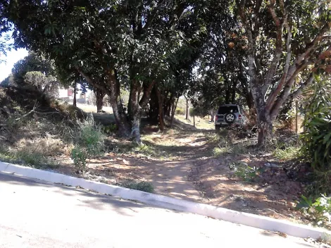 imagem 1 - LINDA ÁREA NA ZONA LESTE: EXCELENTE LOCALIZAÇÃO! imagem 1 - LINDA ÁREA NA ZONA LESTE: EXCELENTE LOCALIZAÇÃO!