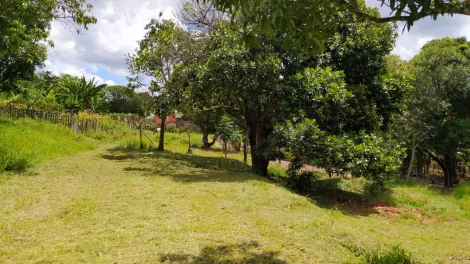 imagem 3 - LINDA ÁREA NA ZONA LESTE: EXCELENTE LOCALIZAÇÃO! imagem 3 - LINDA ÁREA NA ZONA LESTE: EXCELENTE LOCALIZAÇÃO!