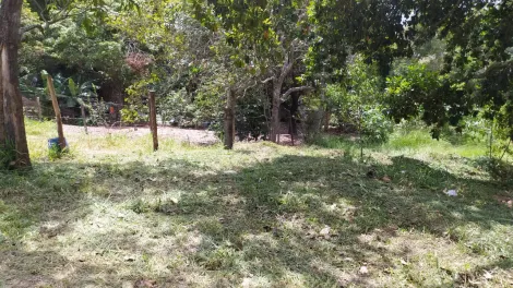 imagem 4 - LINDA ÁREA NA ZONA LESTE: EXCELENTE LOCALIZAÇÃO! imagem 4 - LINDA ÁREA NA ZONA LESTE: EXCELENTE LOCALIZAÇÃO!
