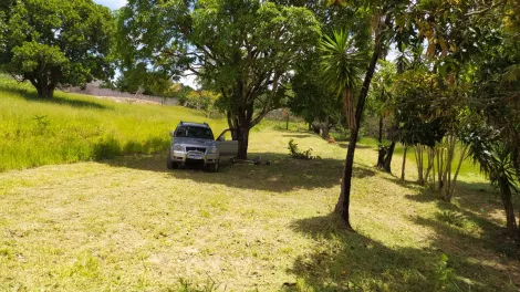 imagem 5 - LINDA ÁREA NA ZONA LESTE: EXCELENTE LOCALIZAÇÃO! imagem 5 - LINDA ÁREA NA ZONA LESTE: EXCELENTE LOCALIZAÇÃO!